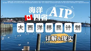 052 加拿大 海洋四省 AIP大西洋移民计划 详解 你不知道的现实情况 Atlantic Immigration Program 