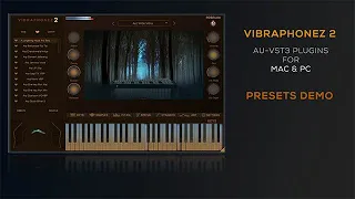  rdgaudio vibraphonez 2 au vst3 plugins presets demo