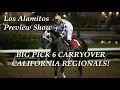 Los Alamitos Show - P6 Carryover and AQHA California Regionals