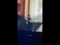 Download Lagu Niki - Oceans \u0026 Engines live at HITC Manila (4K, 221210)