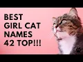 Best Girl Cat Names - 42 TOP GREAT NAMES for FEMALE CAT