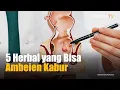 5 Herbal yang Bisa Ambeien Kabur, Tak Perlu Obat Kimia