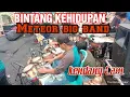 Download Lagu BINTANG KEHIDUPAN Nike Ardila Versi Koplo METEOR BIG BAND kendang cam@AT_Channel