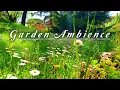 Download Lagu Healing Nature Meditation 🌳 GARDEN AMBIENCE 🌿 Relaxing Spring Sounds on a Lovely Sunny Morning