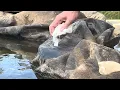 Repair EPDM liner on garden pond with online kits PT 1