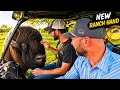 I Put My NEW Ranch Hand FACE TO FACE With BIG JOE