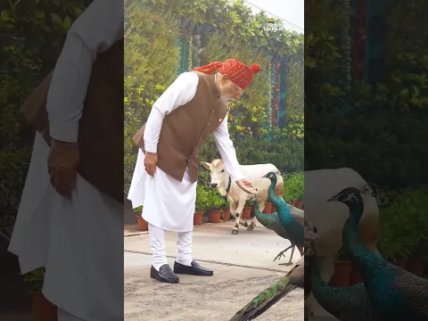 Our NaMo
