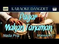 Download Lagu PAGAR MAKAN TANAMAN - KARAOKE DANGDUT || Nada Pria 