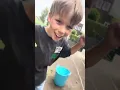 Download Lagu We gaan beestjes vangen Met mijn neefjes | Sambaballl148