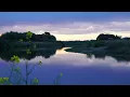 グリーグ ピアノ協奏曲イ短調第一楽章  Geza Anda