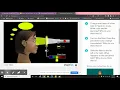Electromagnetic Spectrum Brainpop Demo