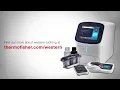 How to Perform Western Blot Analysis Step by Step Western Blotting