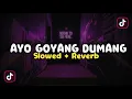 DJ AYO GOYANG DUMANG - Slow \u0026 Reverb 🎧