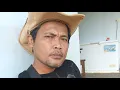 Download Lagu wong tani