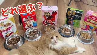 5種類の餌並べたら何処に飛びつくか検証!! 猫【10年ぶり】　PDS