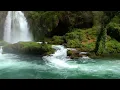 Música Relajante para Descansar la Mente, Relajarse y Dormir