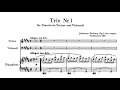 Brahms, Piano Trio in B Major, op.8 - Video Score - Suk, Starker, Katchen,