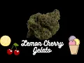Lemon Cherry Gelato Strain Review