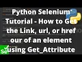 Python Selenium Tutorial - How to Get the Link url or href of an element using Get