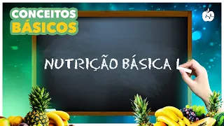 Curso Completo de Nutrição: Macronutrientes e Micronutrientes