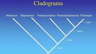 CONSTRUÇÃO DE CLADOGRAMA A PARTIR DE MATRIZ CODIFICADA