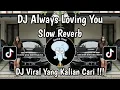Download Lagu DJ ALWAYS LOVING YOU SLOW REVERB VIRAL TIK TOK TERBARU 2025 YANG KALIAN CARI !!!