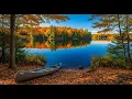 Lake Harris NYSDEC Campground site tour Look before you book all 90 sites Autumn in Adirondacks
