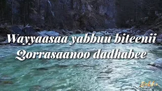 ABBABAA ABBASHUU BAKKANIISA SOOFANII Lyrics 