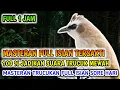 Download Lagu Masteran trucukan Full Isian 1 jam Paling Sakti, 100 % Jadikan Trucuk Anda Mantul