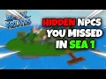 5 Secret NPCs You MISSED in First Sea Blox Fruits