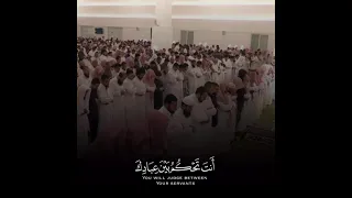 تلاوة جميلة للشيخ ناصر القطامي حالات واتس دينية 