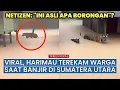 Viral Harimau Berkeliaran di Tengah Banjir Sibolga, ini Faktanya