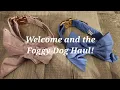 Welcome and Foggy Dog Haul