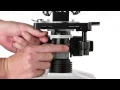 AmScope Darkfield Microscopy Tutorial - DK-DRY100 DK-OIL100 on T490 Compound Microscope