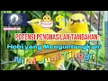 Download Lagu Potensi Penghasilan Tambahan: || Hobi yang Menguntungkan: ||  Nilai Jual Tinggi: