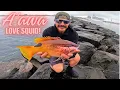 Toothy But Tasty Fishing Big Island Hawaii Hilo Breakwall