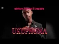 Download Lagu LEEMCKRAZY X MAWHOO X TAREQ NEXUS - UKUPHUMA ( REMAKE )