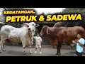 Lagu MAS HERMAWAN ANTAR PETRUK DAN SADEWA DARI SETIA FARM..!!