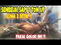 Download Lagu CARA SEMBELIH SAPI SESUAI SYARIAT, CUMA 2 DETIK  | GOLOK SEMBELIH QRISDOREN ‼️
