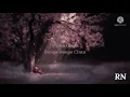 MISHA OMAR - BUNGA-BUNGA CINTA (LIRIK)