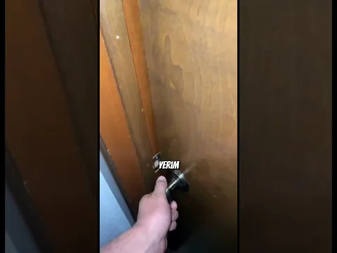 Canım Felixim Tatlı Horozum , Arkadaşımı Uyandırmayı Başardı.. #shorts
