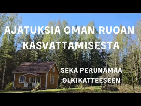 Download MP3 Ajatuksia oman ruoan kasvattamisesta, sekä perunamaa olkikatteeseen