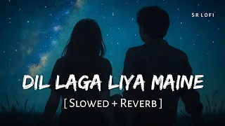 dil laga liya maine tumse pyaar karke slowed reverb alka yagnik udit narayan sr lofi