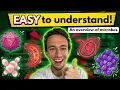 Microbiology COMPLETE Course Everything You NEED to Know