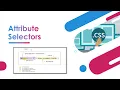 17 CSS Attribute Selectors in Hindi CSS tutorials