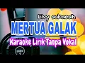 Lagu MERTUA GALAK (Elvy sukaesih) Karaoke lirik tanpa vokal