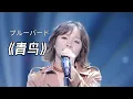 Download Lagu （1080p）陳樂一 — 火影忍者《青鳥》🎧中日雙語 Live 下一站傳奇Chinese version ブルーバード