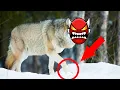 Wolfstep by Rlol - Geometry Dash