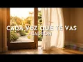 Ladrón - Cada Vez Que Te Vas (Visualizer)