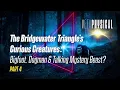 Paranormal Creatures of the Bridgewater Triangle
